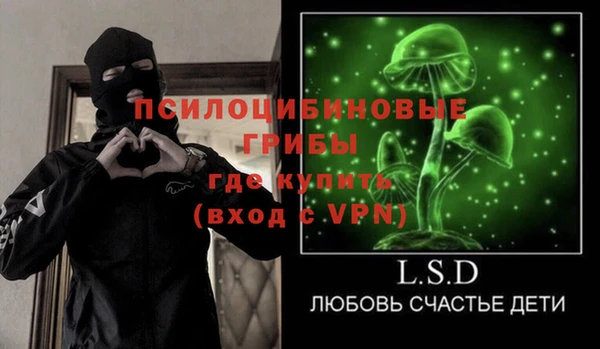 стаф Алексин
