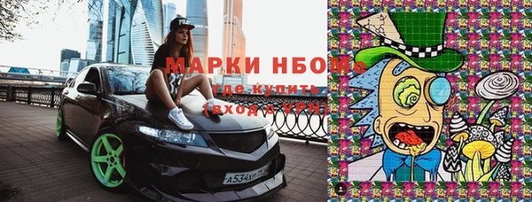 стаф Алексин