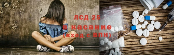 стаф Алексин