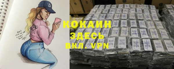 стаф Алексин