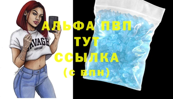 стаф Алексин