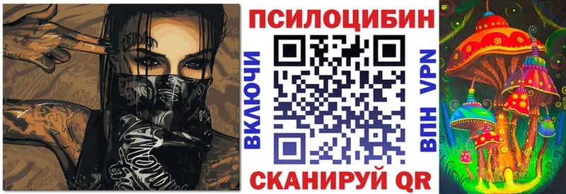 как найти   Мышкин  OMG маркетплейс  Галлюциногенные грибы ЛСД 